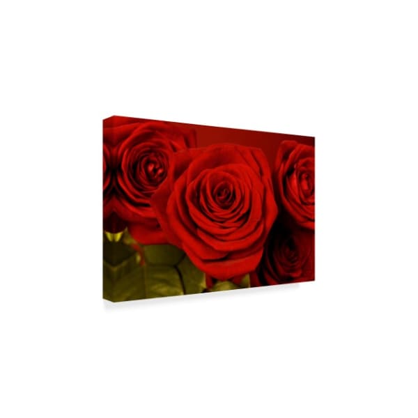 Tom Quartermaine '3 Red Roses' Canvas Art,16x24